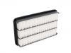 空氣濾清器 Air Filter:17801-03010