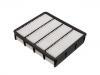空氣濾清器 Air Filter:17801-07020