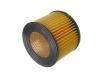 空氣濾清器 Air Filter:17801-54060