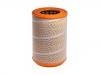 空氣濾清器 Air Filter:1387549