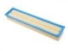空氣濾清器 Air Filter:9806734380