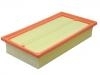 空氣濾清器 Air Filter:B21-1109111