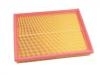 空氣濾清器 Air Filter:10137097