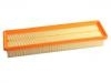 空氣濾清器 Air Filter:9806422180