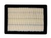 空氣濾清器 Air Filter:2010005ASV0000