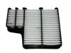空氣濾清器 Air Filter:1109120-SA02