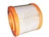 空氣濾清器 Air Filter:1109060PK