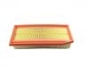 空氣濾清器 Air Filter:16 54 605 09R