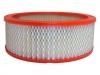 空氣濾清器 Air Filter:6486234